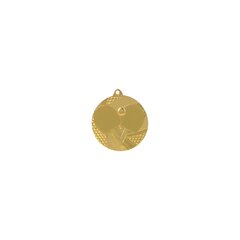 Medalis - Stalo tenisas, aukso spalvos kaina ir informacija | Numizmatika | pigu.lt