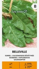 Rūgštynės belleville kaina ir informacija | Daržovių, uogų sėklos | pigu.lt