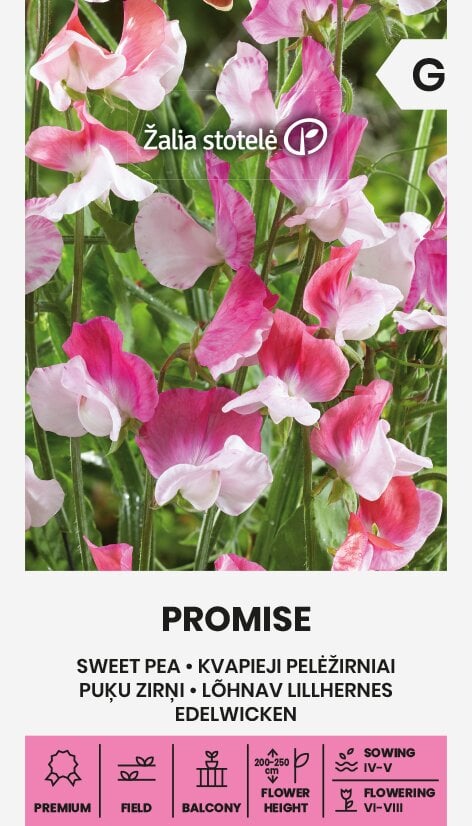Pelėžirniai kvapieji promise kaina ir informacija | Gėlių sėklos | pigu.lt