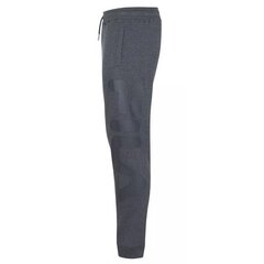 PANTS FILA BRONTE pants FAU009380029 FAU009380029 цена и информация | Мужская спортивная одежда | pigu.lt