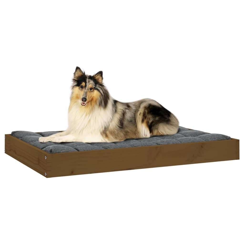 Lova šunims, ruda, 91,5x64x9 cm kaina ir informacija | Guoliai, pagalvėlės | pigu.lt