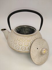 Чугунный заварочный чайник с ситечком, 0,9 л цена и информация | Чайники, кофейники | pigu.lt