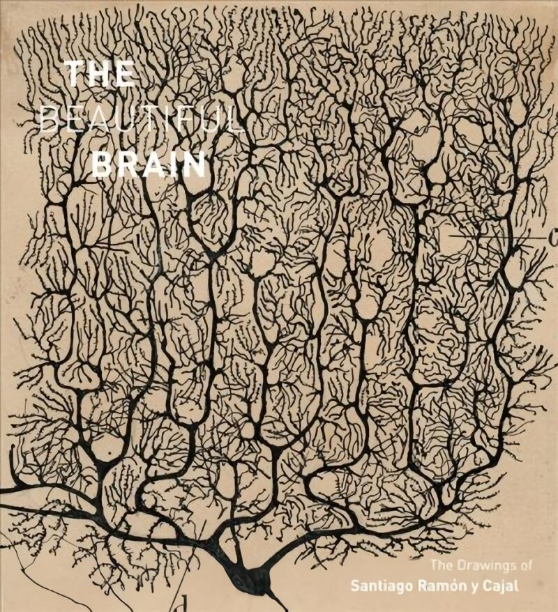 Beautiful Brain: The Drawings of Santiago Ramon y Cajal kaina ir informacija | Knygos apie meną | pigu.lt