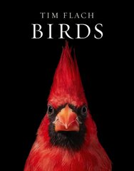 Birds kaina ir informacija | Fotografijos knygos | pigu.lt