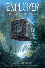 Explorer: the Mystery Boxes: The Mystery Boxes цена и информация | Книги для подростков и молодежи | pigu.lt