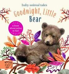 Goodnight, Little Bear: A Book About Going to Bed kaina ir informacija | Knygos paaugliams ir jaunimui | pigu.lt