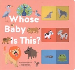 Whose Baby is This? цена и информация | Книги для малышей | pigu.lt