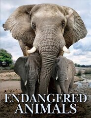 Endangered Animals цена и информация | Книги о питании и здоровом образе жизни | pigu.lt