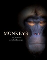 Monkeys: Apes, Gorillas and other Primates цена и информация | Книги о питании и здоровом образе жизни | pigu.lt