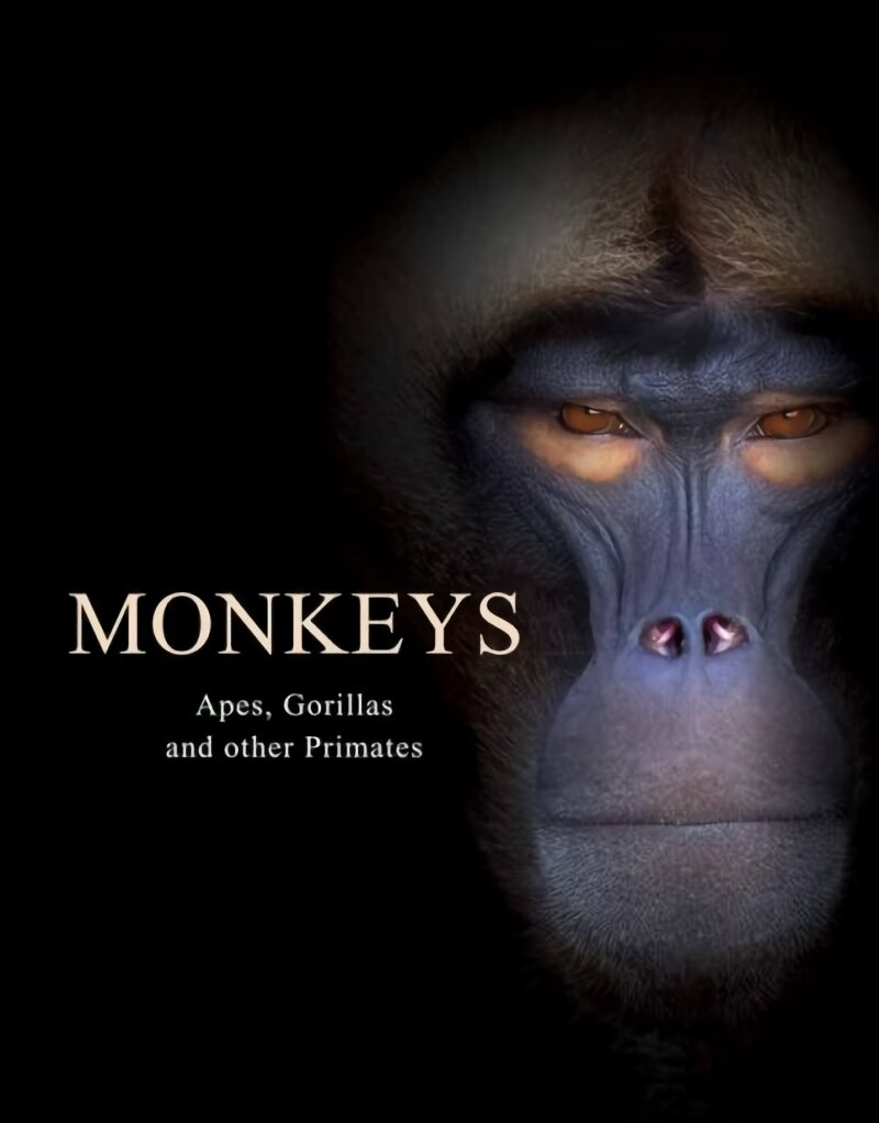 Monkeys: Apes, Gorillas and other Primates kaina ir informacija | Knygos apie sveiką gyvenseną ir mitybą | pigu.lt