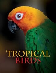 Tropical Birds kaina ir informacija | Knygos apie sveiką gyvenseną ir mitybą | pigu.lt
