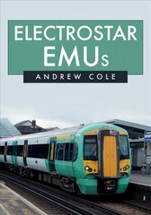 Electrostar EMUs цена и информация | Путеводители, путешествия | pigu.lt