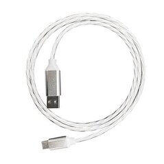Кабель для зарядки с подсветкой Platinet USB-C, 1 м, белый цена и информация | Кабели для телефонов | pigu.lt