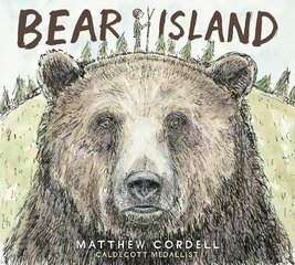 Bear Island цена и информация | Книги для малышей | pigu.lt