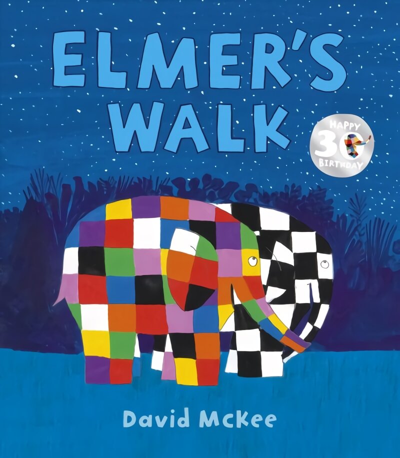 Elmer's Walk kaina ir informacija | Knygos mažiesiems | pigu.lt