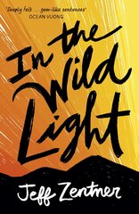 In the Wild Light kaina ir informacija | Knygos paaugliams ir jaunimui | pigu.lt
