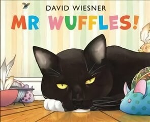 Mr Wuffles! цена и информация | Книги для самых маленьких | pigu.lt