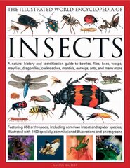 Illustrated World Encyclopaedia of Insects: A Natural History and Identification Guide to Beetles, Flies, Bees Wasps,   Springtails, Mayflies, Stoneflies, Dragonflies, Damselflies, Cockroaches,   Mantids, Earwigs ... and Many More illustrated edition цена и информация | Книги о питании и здоровом образе жизни | pigu.lt