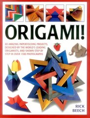 Origami!: 80 Amazing Paperfolding Projects, Designed by the World's Leading Origamists, and Shown Step by Step in Over 1500 Photographs цена и информация | Книги о питании и здоровом образе жизни | pigu.lt