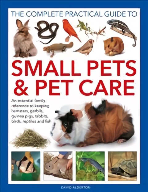 Small Pets and Pet Care, The Complete Practical Guide to: An essential family reference to keeping hamsters, gerbils, guinea pigs, rabbits, birds, reptiles and fish kaina ir informacija | Knygos apie sveiką gyvenseną ir mitybą | pigu.lt