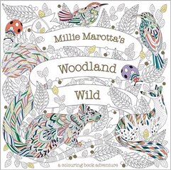 Millie Marotta's Woodland Wild: a colouring book adventure цена и информация | Книги для самых маленьких | pigu.lt