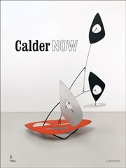 Calder Now kaina ir informacija | Knygos apie meną | pigu.lt