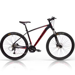 RAVEN Squad 29" 21G dydis 19" (48cm) (juoda/raudona) 2022 цена и информация | Велосипеды | pigu.lt