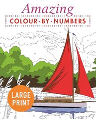 Amazing Colour-by-Numbers Large Print цена и информация | Книги об искусстве | pigu.lt