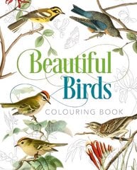Beautiful Birds Colouring Book цена и информация | Книжки - раскраски | pigu.lt