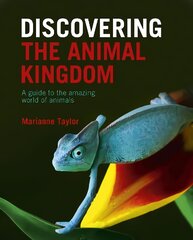 Discovering The Animal Kingdom: A guide to the amazing world of animals kaina ir informacija | Knygos apie sveiką gyvenseną ir mitybą | pigu.lt