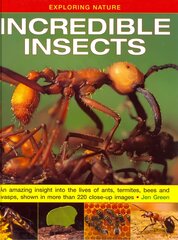 Exploring Nature: Incredible Insects: An Amazing Insight into the Lives of Ants, Termites, Bees and Wasps, Shown   in More Than 220 Close-up Images цена и информация | Книги для подростков и молодежи | pigu.lt