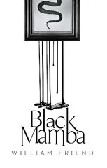 Black Mamba Main цена и информация | Фантастика, фэнтези | pigu.lt