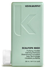 Plaukų šampūnas Kevin.Murphy Scalp.Spa Wash, 250ml kaina ir informacija | Šampūnai | pigu.lt