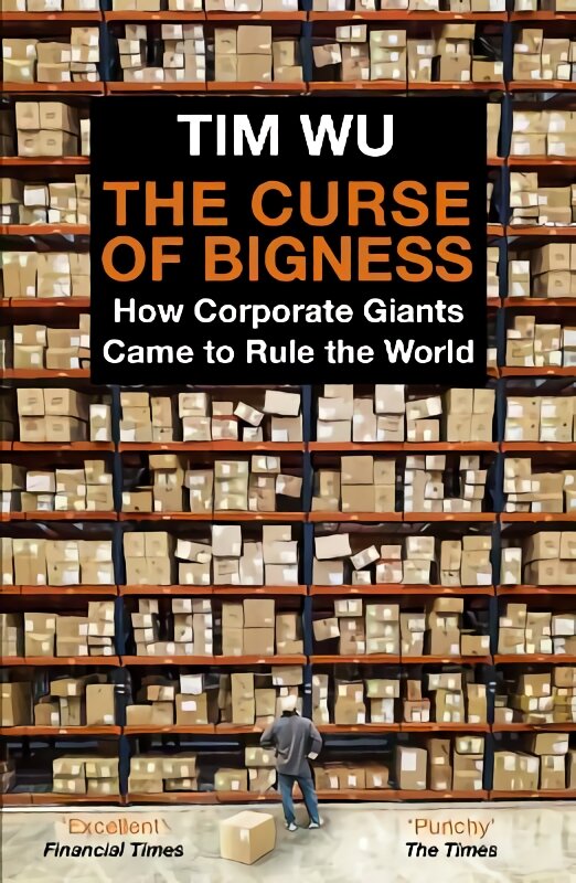 Curse of Bigness: How Corporate Giants Came to Rule the World Main kaina ir informacija | Ekonomikos knygos | pigu.lt