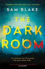 Dark Room Main цена и информация | Фантастика, фэнтези | pigu.lt