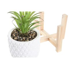 Декоративное растение DKD Home Decor Серый Зеленый Смола PE (10,5 x 10,5 x 25 cm) (2 штук) цена и информация | Искусственные цветы | pigu.lt