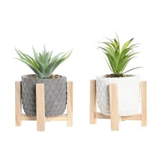 Декоративное растение DKD Home Decor Серый Зеленый Смола PE (10,5 x 10,5 x 25 cm) (2 штук) цена и информация | Искусственные цветы | pigu.lt