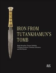 Iron from Tutankhamun's Tomb: Book Four of the Mirror Visitor Quartet цена и информация | Исторические книги | pigu.lt