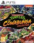 Teenage Mutant Ninja Turtles: The Cowabunga Collection цена и информация | Kompiuteriniai žaidimai | pigu.lt