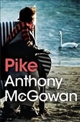 Pike цена и информация | Книги для подростков и молодежи | pigu.lt