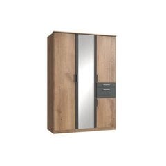 Шкаф Aatrium Koblenz, коричневый цвет цена и информация | Шкафы | pigu.lt