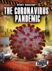 Corona Virus Pandemic цена и информация | Книги для подростков и молодежи | pigu.lt