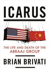 Icarus: The Life and Death of the Abraaj Group kaina ir informacija | Ekonomikos knygos | pigu.lt