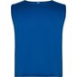 Marškinėliai vyrams Roly Blue, mėlynos spalvos kaina ir informacija | Vyriški marškinėliai | pigu.lt