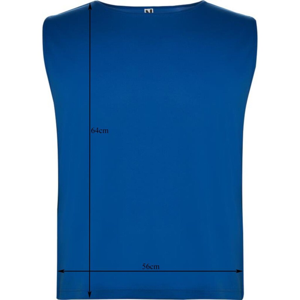Marškinėliai vyrams Roly Blue, mėlynos spalvos kaina ir informacija | Vyriški marškinėliai | pigu.lt