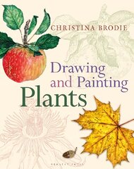 Drawing and Painting Plants цена и информация | Книги об искусстве | pigu.lt