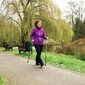 Ėjimo lazdos Nordic Walking, pilkos kaina ir informacija | Ėjimo lazdos | pigu.lt