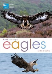 RSPB Spotlight: Eagles цена и информация | Книги о питании и здоровом образе жизни | pigu.lt