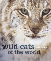Wild Cats of the World цена и информация | Книги о питании и здоровом образе жизни | pigu.lt