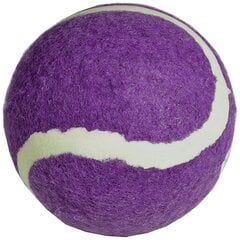 Teniso kamuoliukas Enero, violetinis kaina ir informacija | Lauko teniso prekės | pigu.lt